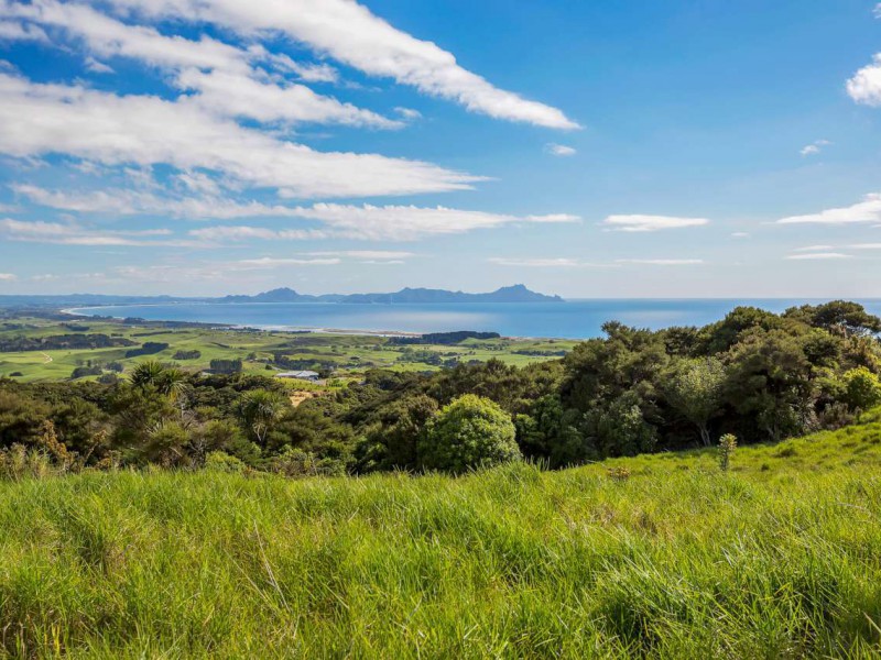 Massey Road, Waipu, Whangarei, 0 rūma, 1 rūma horoi