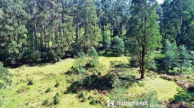 194 Smiths Road, Toolangi, VIC 3777, 0房, 0浴, Lifestyle Property