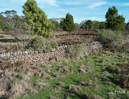 1805 Princes Highway, Pirron Yallock, Geelong, 0房, 0浴, Lifestyle Property
