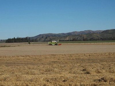 Rural Zone