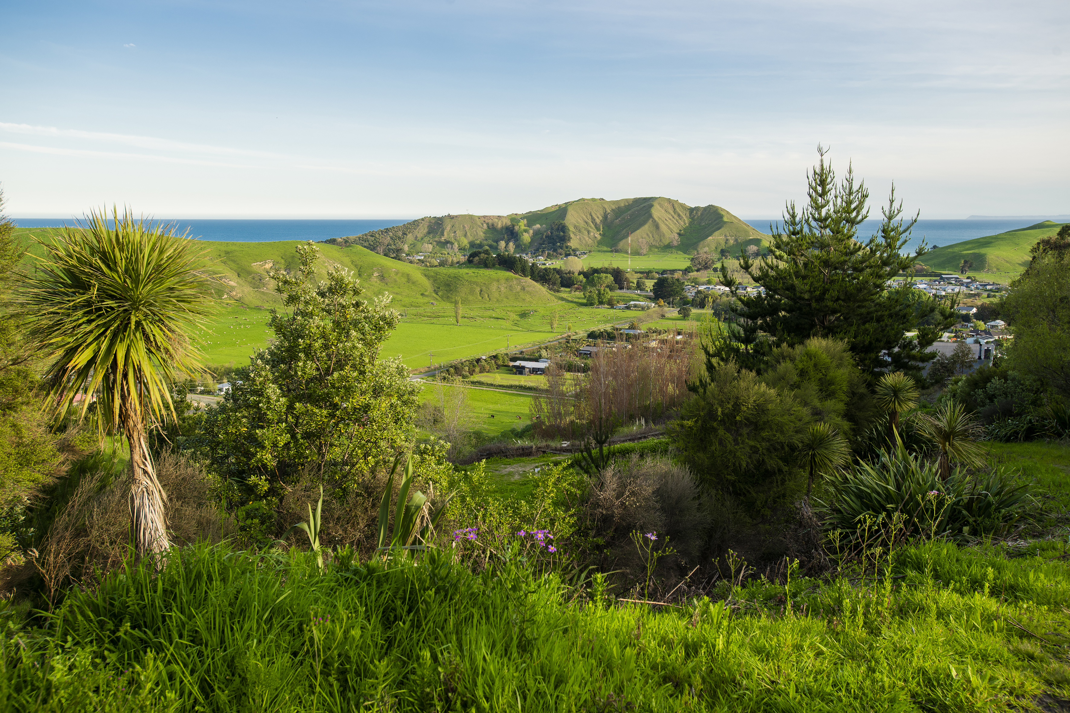 Wheatstone Road, Outer Kaiti, Gisborne, 0房, 1浴