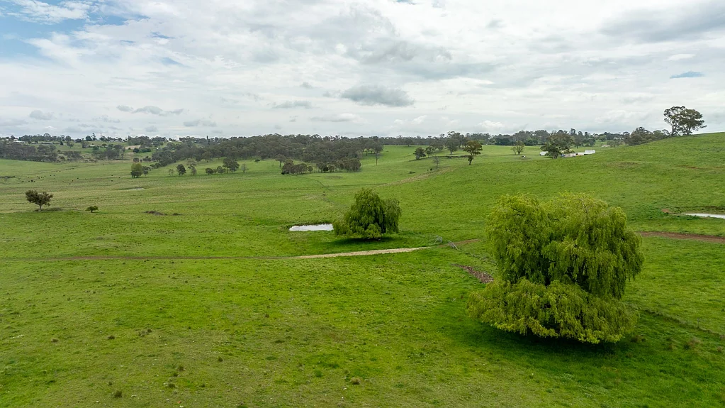 75 Blush Road, Guyra, NSW 2365