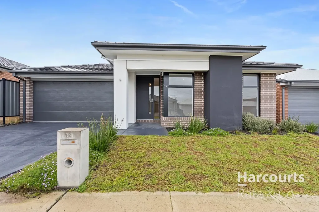 Where Contemporary Design Meets Family Comfort