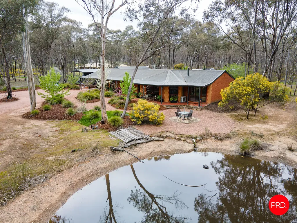 156 Trotting Terrace, Junortoun, VIC 3551