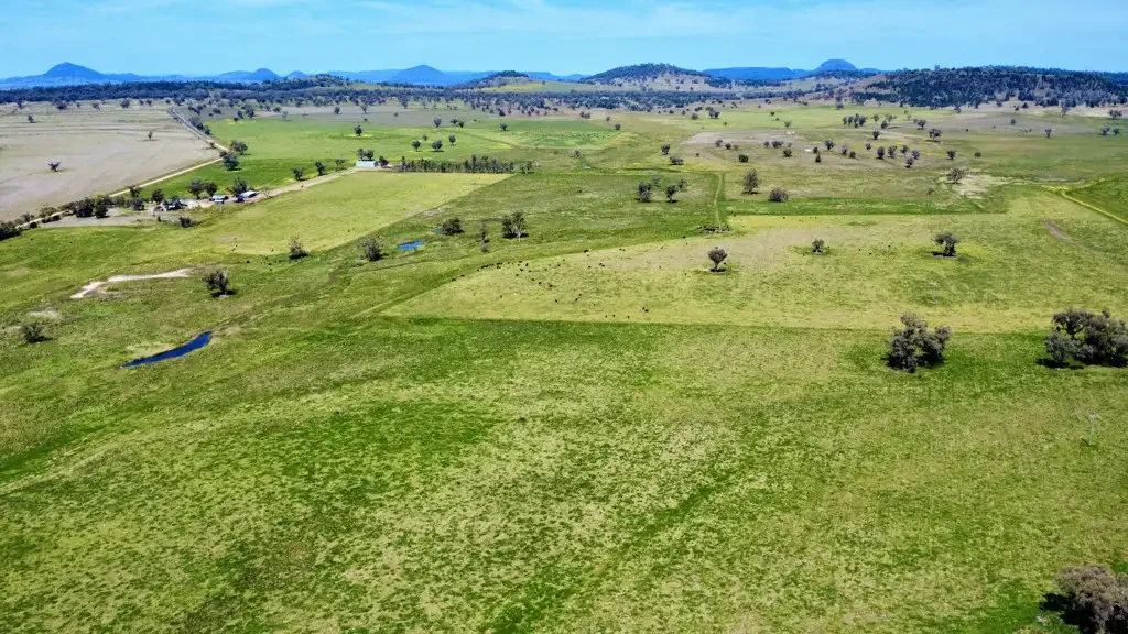 Gunnedah Exceptional Mixed Farming in Prime Mullaley Location