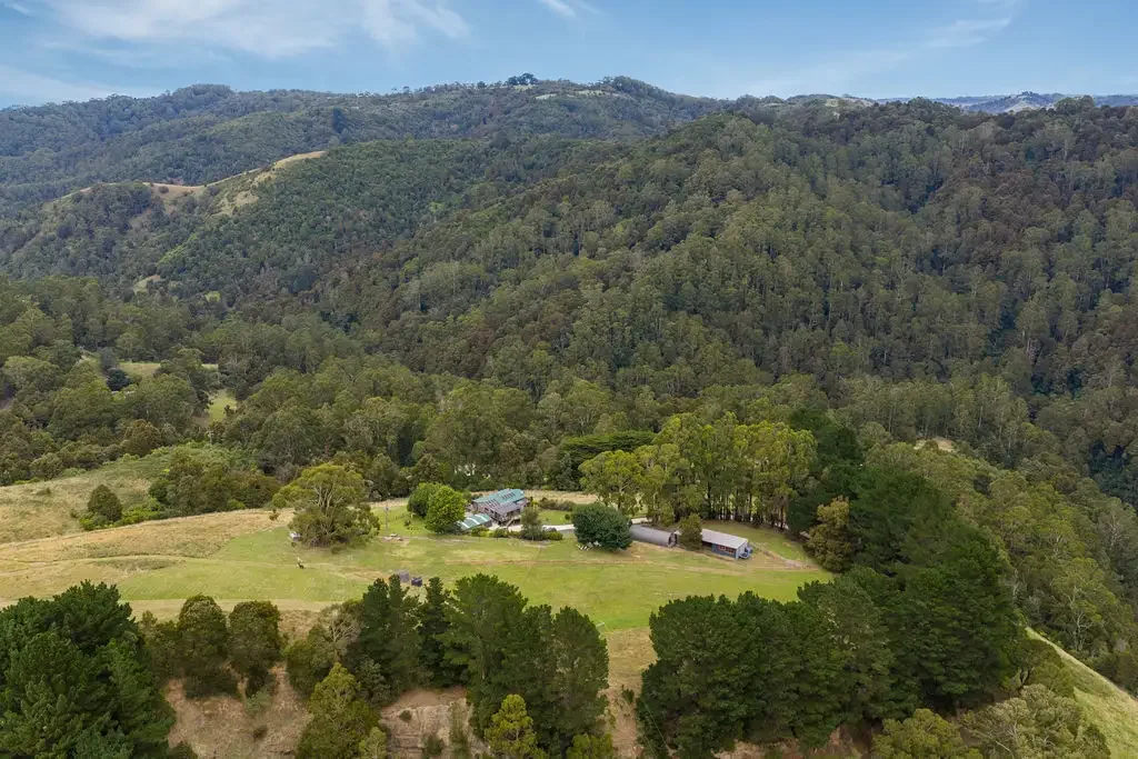 Apollo Bay 3房  A CEDAR RETREAT WHERE THE VALLEY BREATHES AND TIME SLOWS