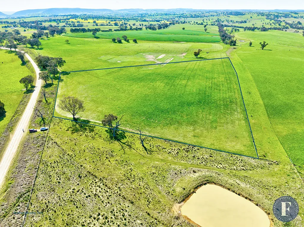 Murringo Rural Surrounds, Great Building Block, Willing Vendor!