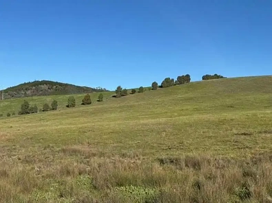 地址保密, Carabost, NSW 2650, 0房, 0浴, Lifestyle Property