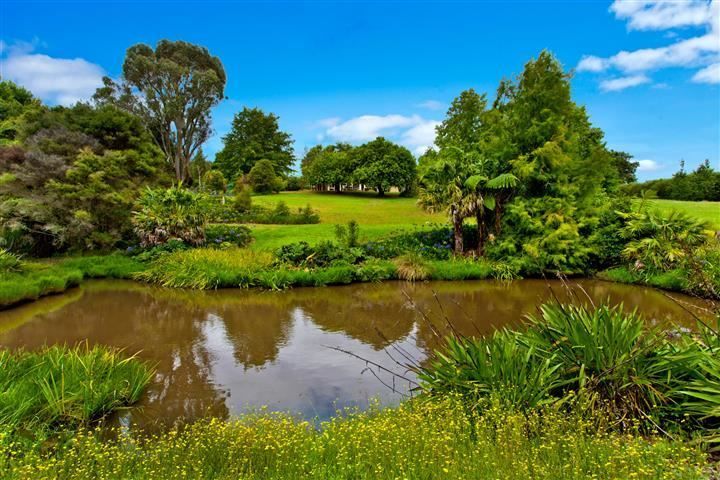 67 Oak Lane, Coatesville, Auckland - Rodney, 5 Schlafzimmer, 4 Badezimmer