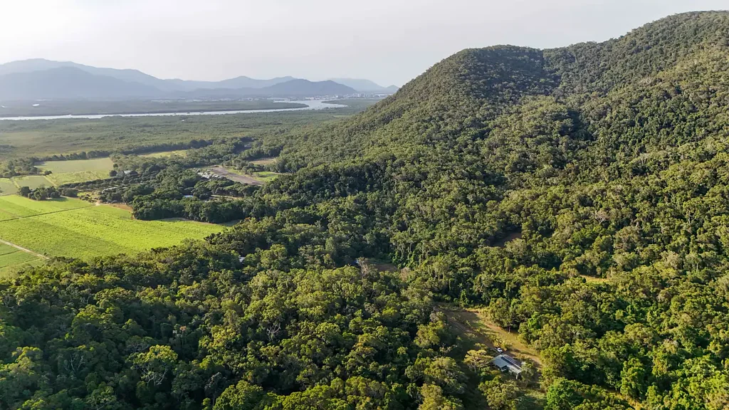 East Trinity  Create Your Idyllic Lifestyle to Include Future Potential Income on 342 acres