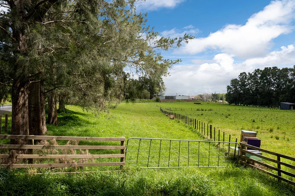 Dairy Flat Overseas Vendor wants Sold