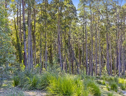 Lot 31/ Lot 67 Northcove Road, Long Beach, South Coast, 5 Bedrooms, 3 Bathrooms, House