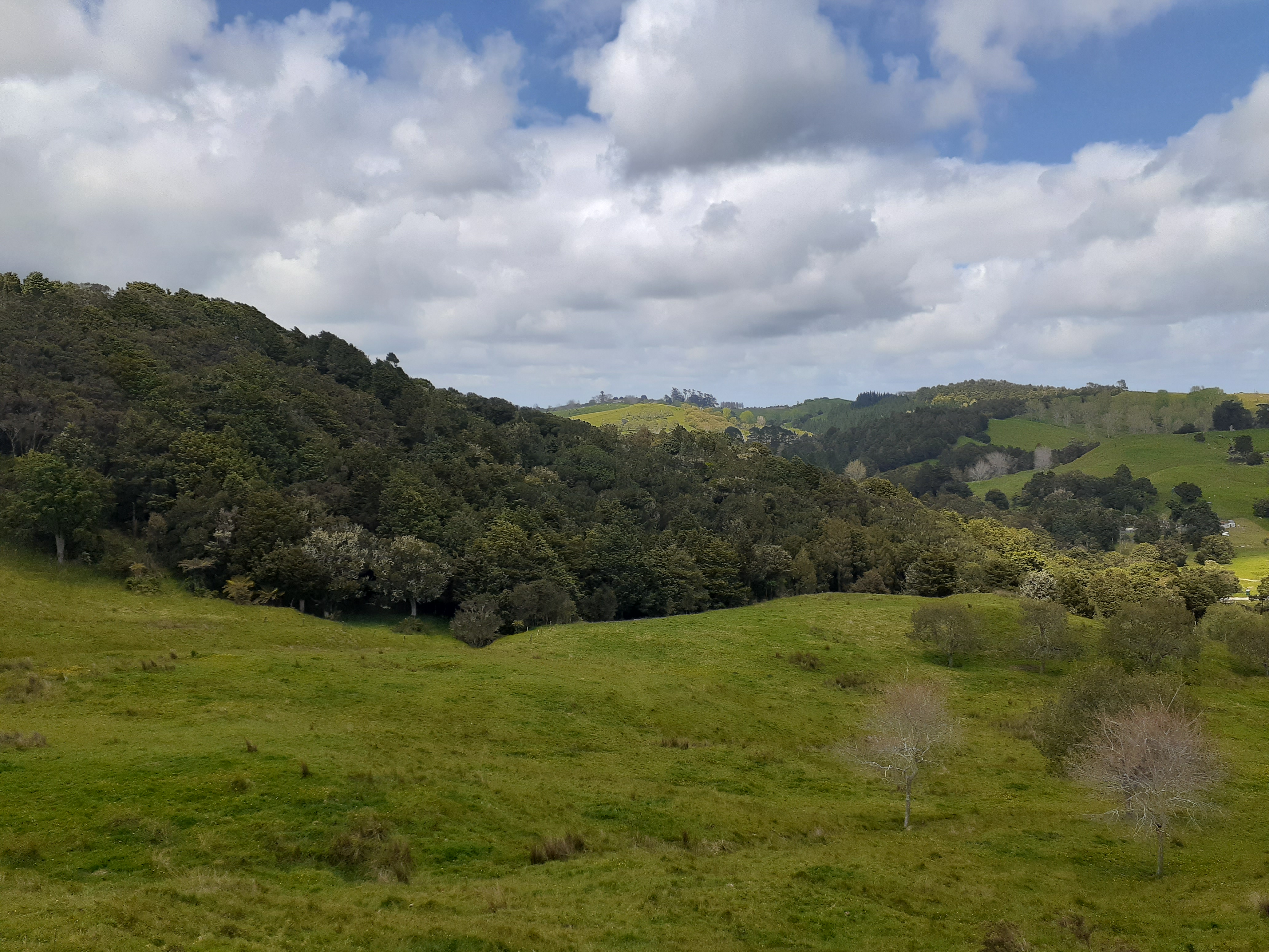 171 Arcadia Road, Paparoa, Kaipara, 0房, 0浴