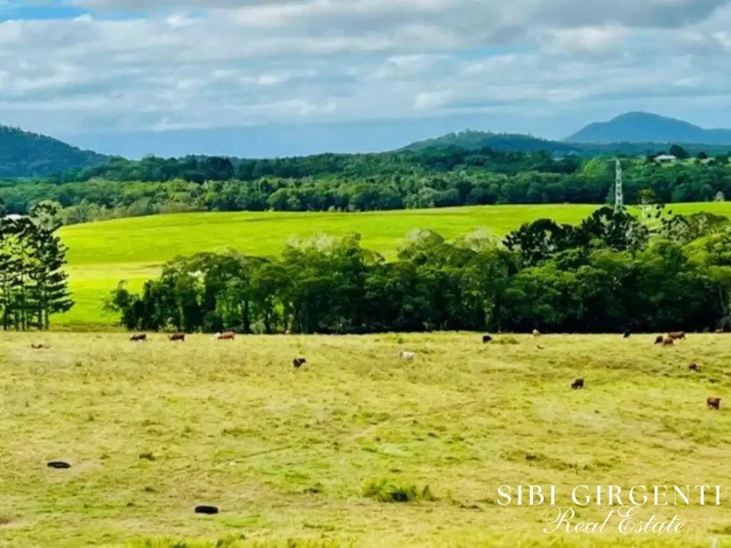 Mossman LIFESTYLE and RURAL - Privacy excellent views rated one of the best climates in the world