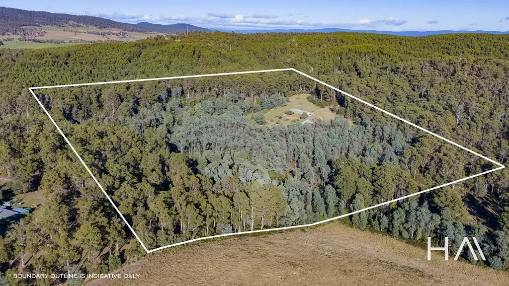 Pipers River Expansive 20.23ha Bush Retreat with Sheds & Power