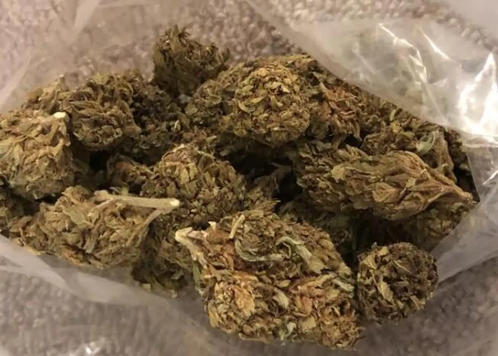 国际大麻日疑似加大聚众吸麻华人家长深忧