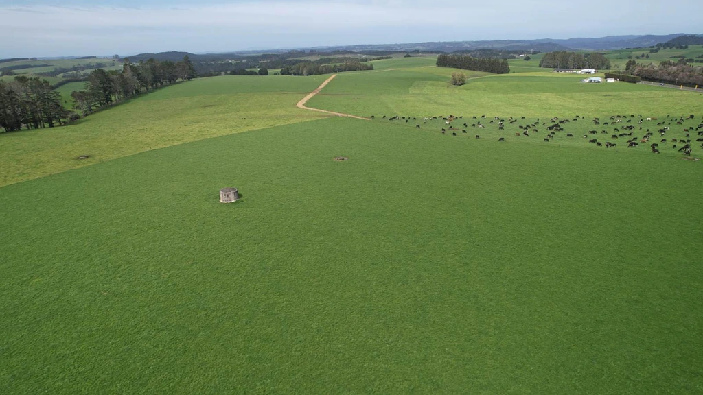 Kaeo 198ha Bay of Islands Dairy Farm - Going Concern