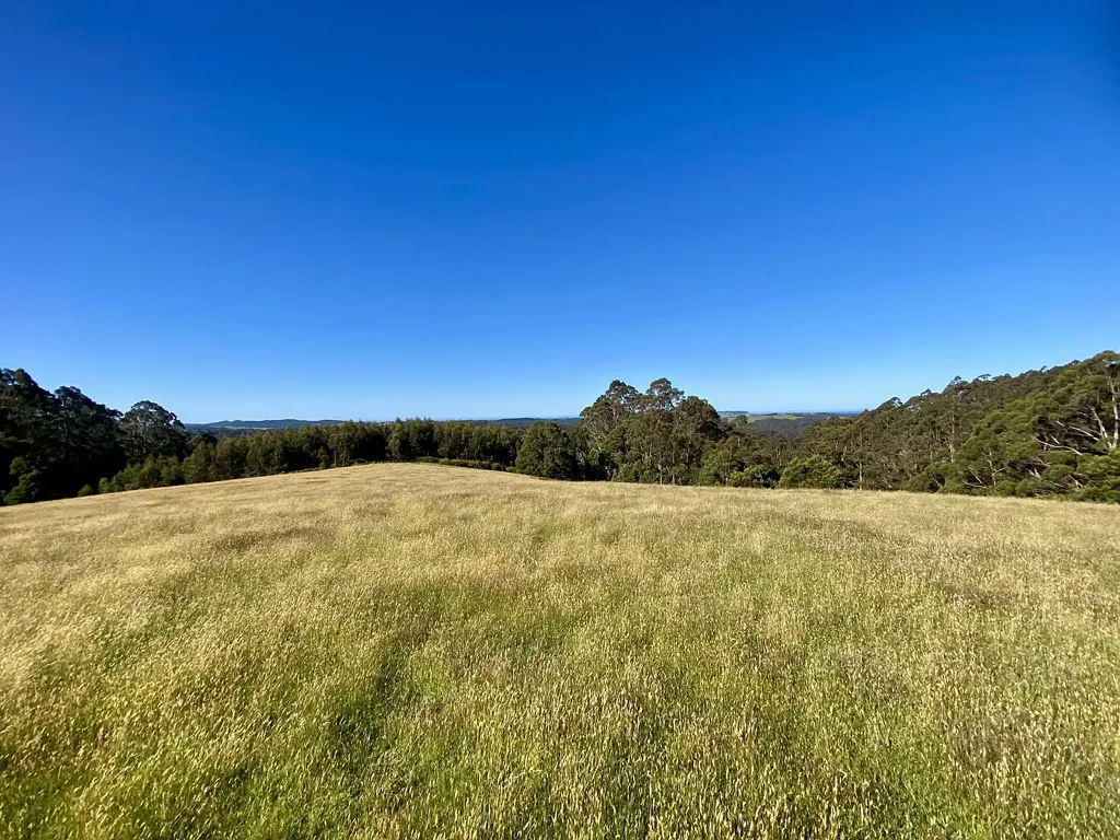 Moorleah A Magical Lifestyle Opportunity - 18 Acres of Pure Potential