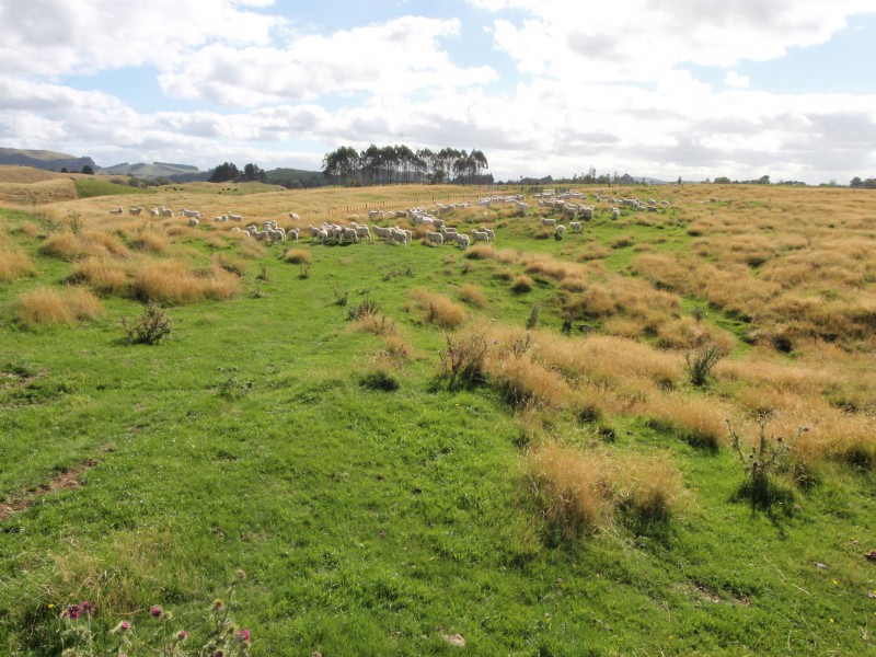 438 Tukairangi Road, Nukuhau, Taupo, 3 Bedrooms, 0 Bathrooms