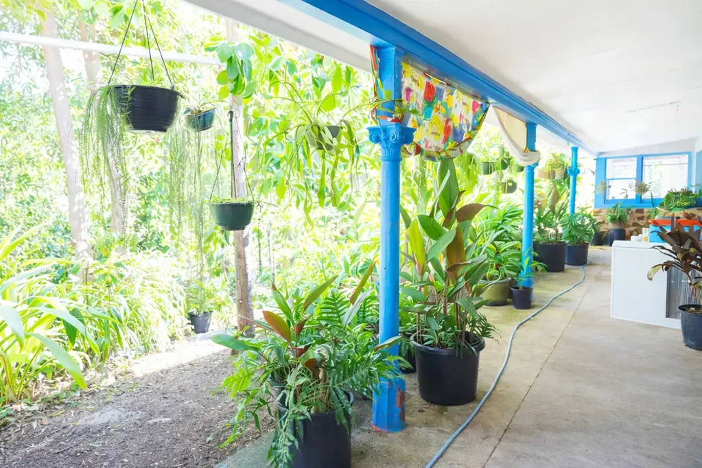 Bulldog  Light-Filled Living Meets Vibrant Gardens Paradise