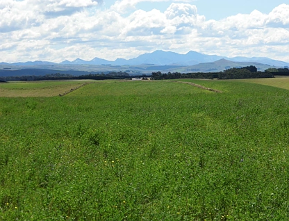 552 Maclean Road, Herbert, Waitaki, 0 phòng ngủ, 0 phòng tắm, Cropping
