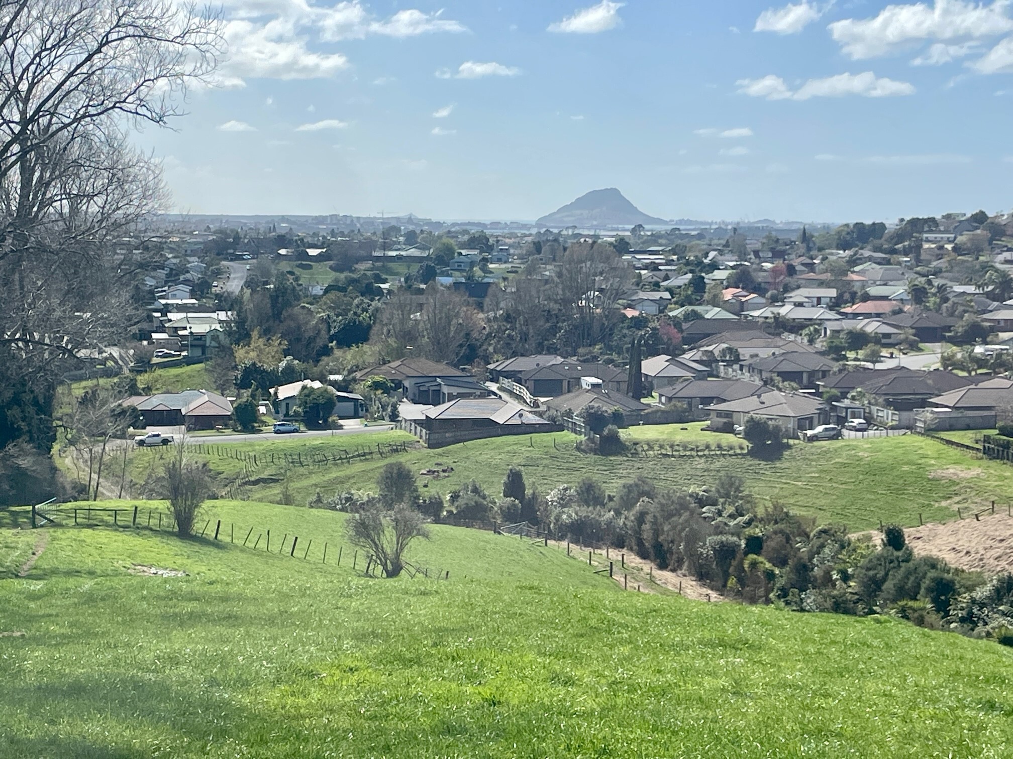 24 Eagle Street, Welcome Bay, Tauranga, 0 Kuwarto, 1 Banyo, Lifestyle Section