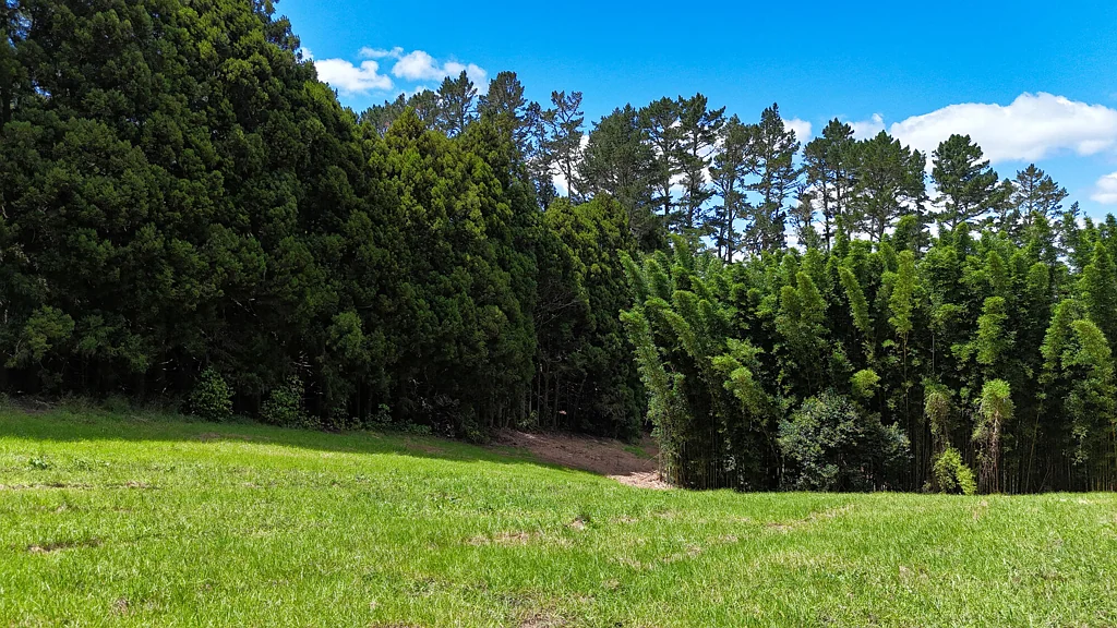 Kerikeri A blank canvas with endless options