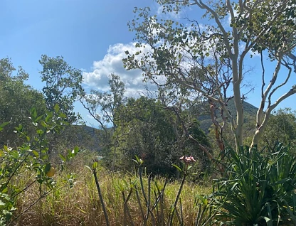 Lot CV Awesome Blue, Keswick Island, Mackay, Mackay, 0 habitaciones, 0 baños, Section