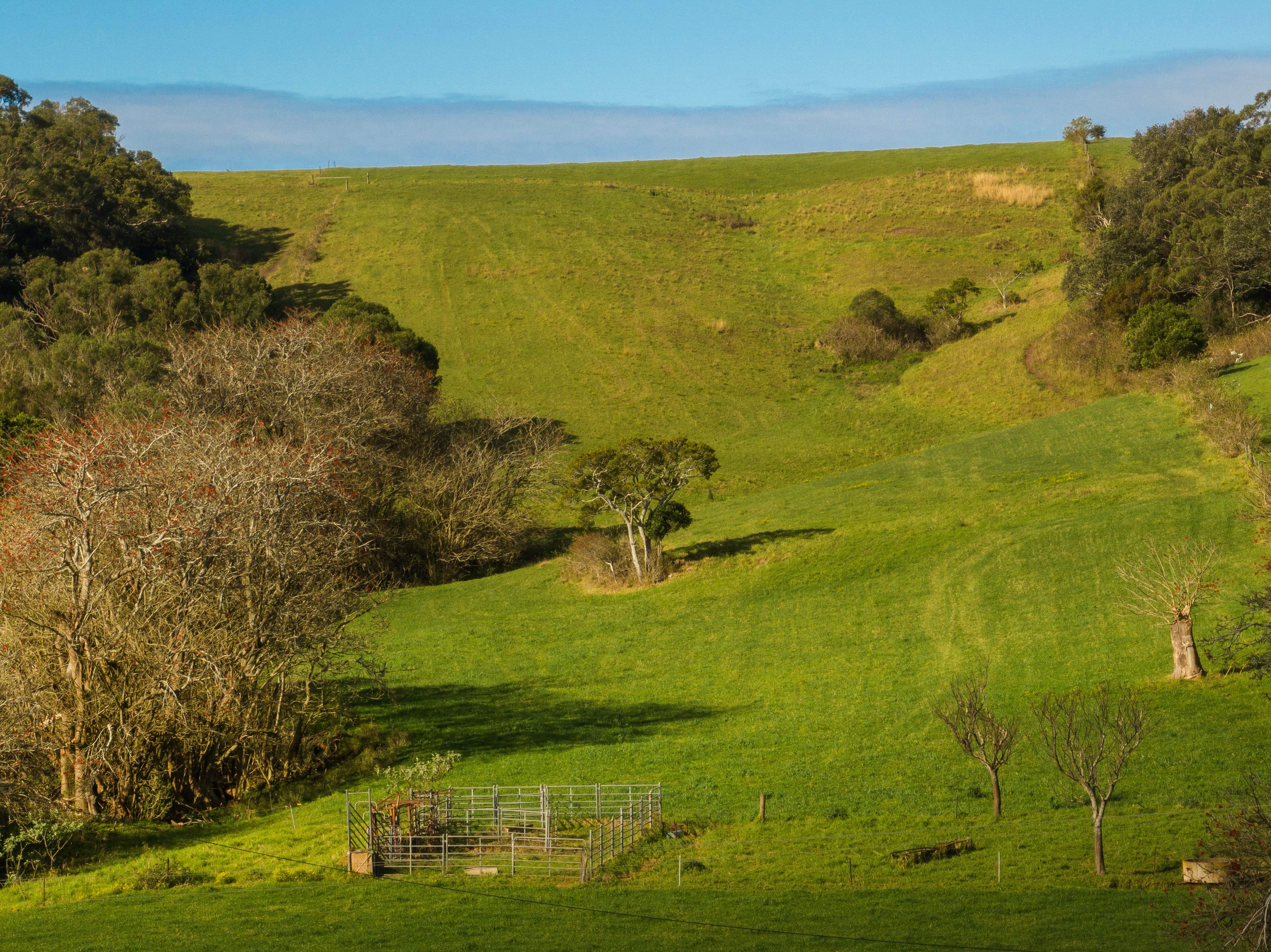 147 FOUNTAINDALE RD, JAMBEROO NSW 2533, 0 Bedrooms, 0 Bathrooms, House