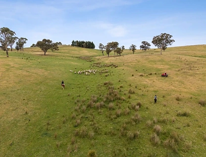 "Springhill" 959 Spring Range Road, Springrange, Rest of NSW, 0 Bedrooms, 0 Bathrooms, Section