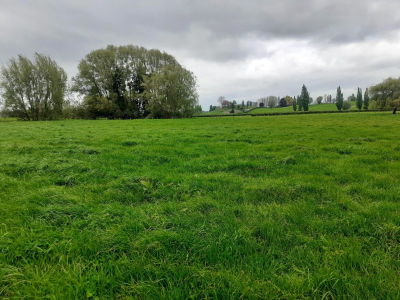 Old Te Kuiti Road, Otorohanga, Otorohanga, 0 침실, 0 욕실