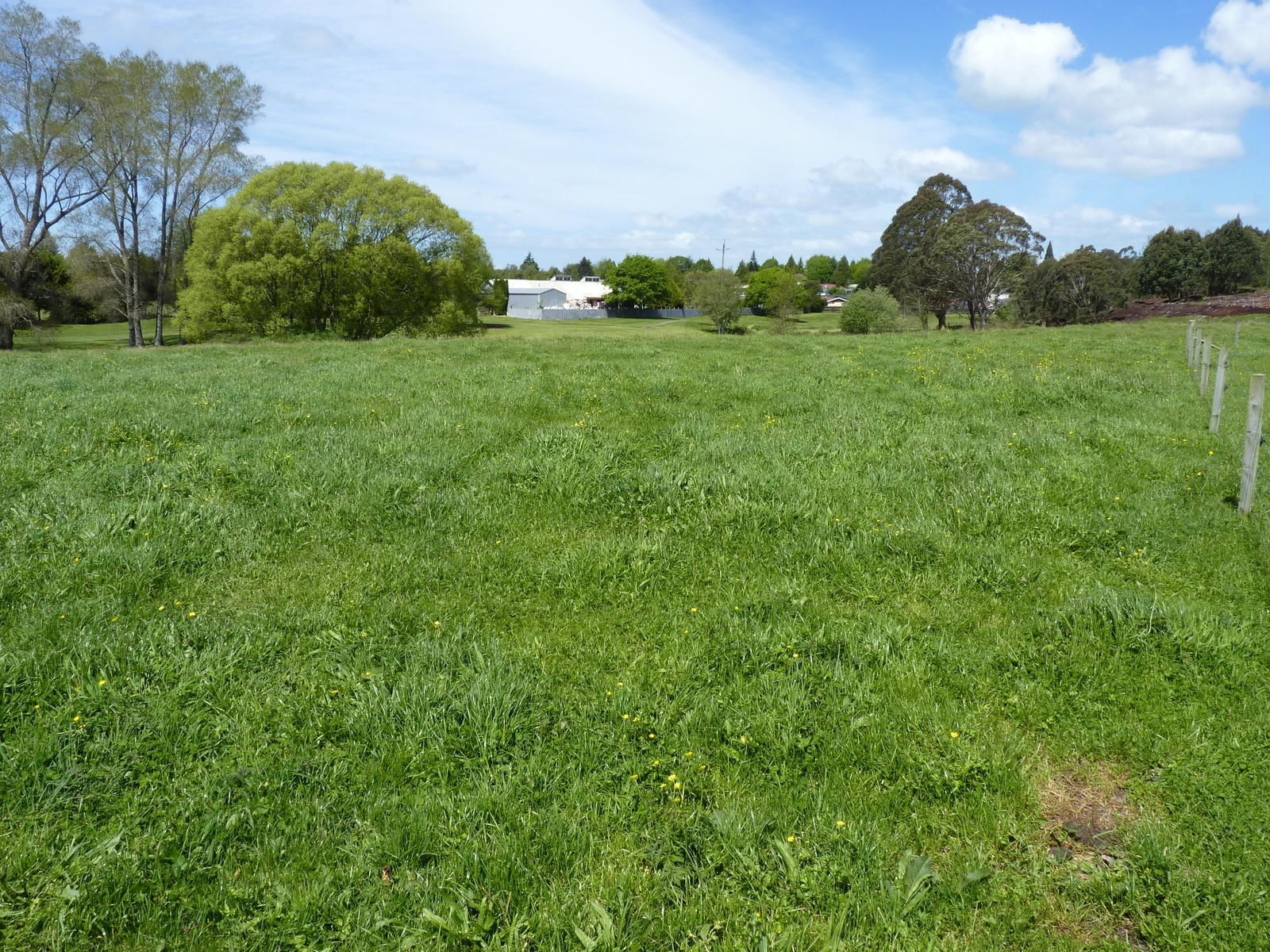 7b Princess Beatrix Avenue, Tokoroa, South Waikato, 2部屋, 1バスルーム, Specialist Livestock