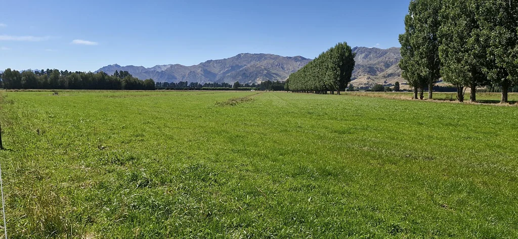 Hawea Flat Exceptional Opportunity