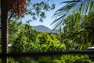 Bellingen 4 Bedroom Charming Dual-Living Home with Mountain Views and Income Potential
