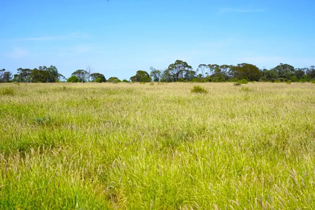 Mungallala  Family Owned Since 1910