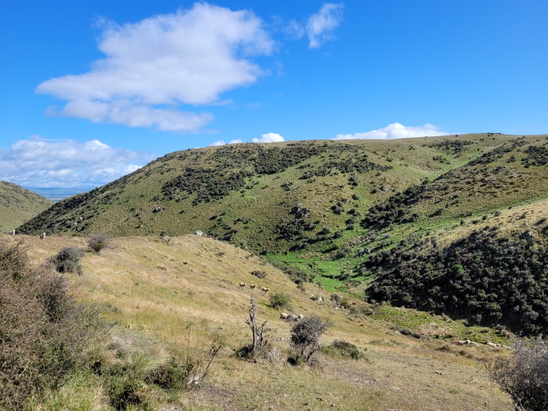 Hamilton Diggings Road, Ranfurly, Otago, 0 Bedrooms, 1 Bathrooms