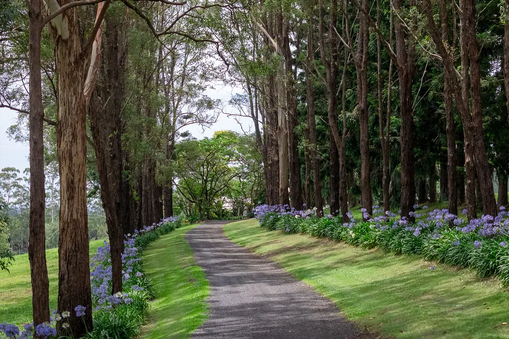 231 Sneaths Road, Wollongbar, NSW 2477