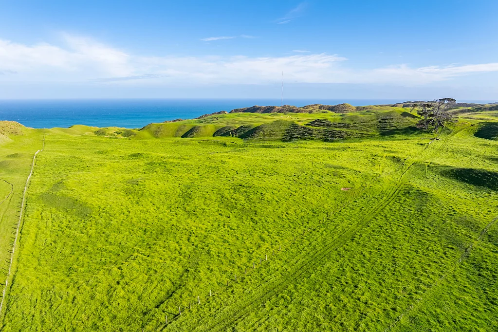Dargaville 162.56ha grazing block with coastal aspect