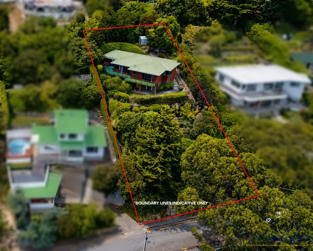 Hillsborough 4房  A Lifestyle Above the City - AS IS WHERE IS