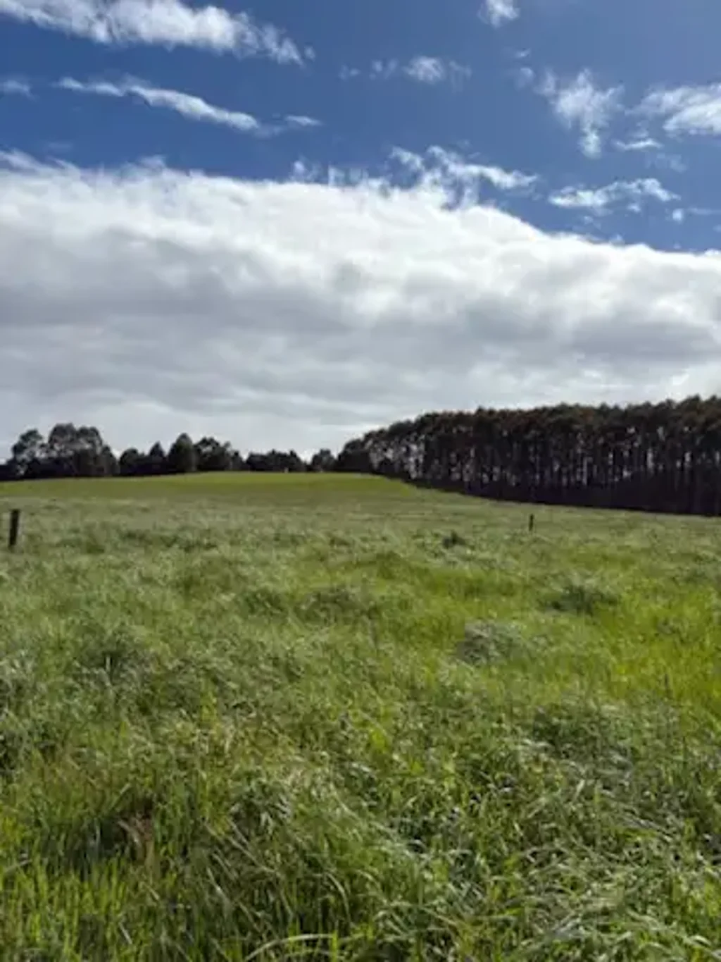 Lileah Prime 20.6ha Countryside Parcel $450,000