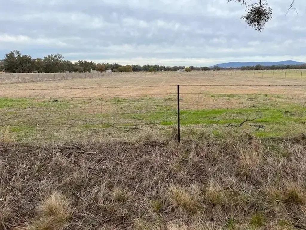 Grenfell Prime Land Opportunity in Grenfell NSW!
