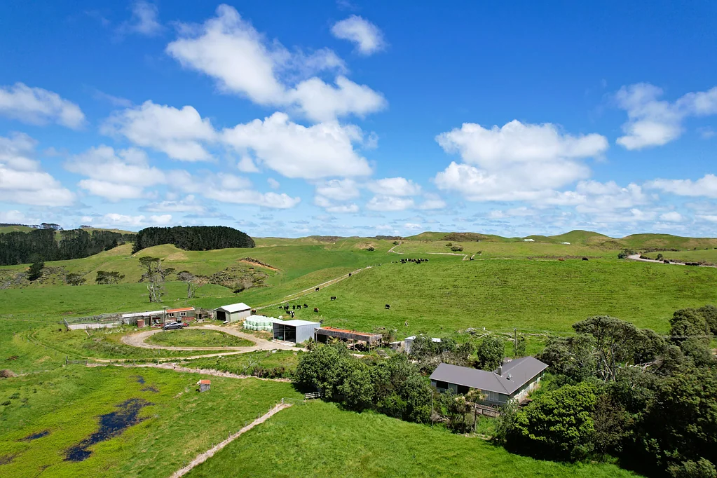 Dargaville  Coastal Farming Opportunity - 154 Hectares