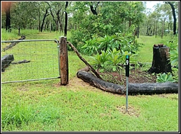 9 Park Lane, Millstream