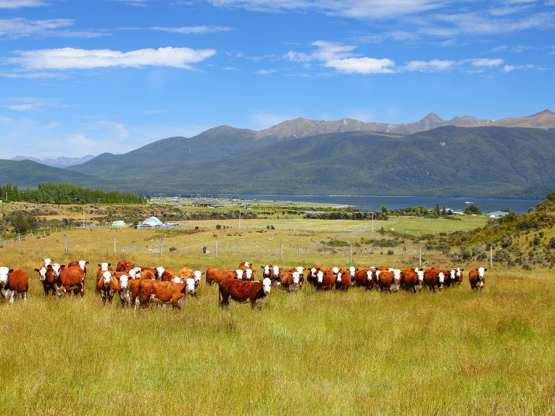 123 Sinclair Road, Te Anau, Southland, 4房, 0浴