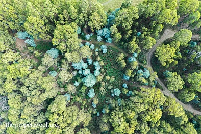 LOT 2 Heriots Rise, Franklin, TAS 7113, 0 Bedrooms, 0 Bathrooms, Section