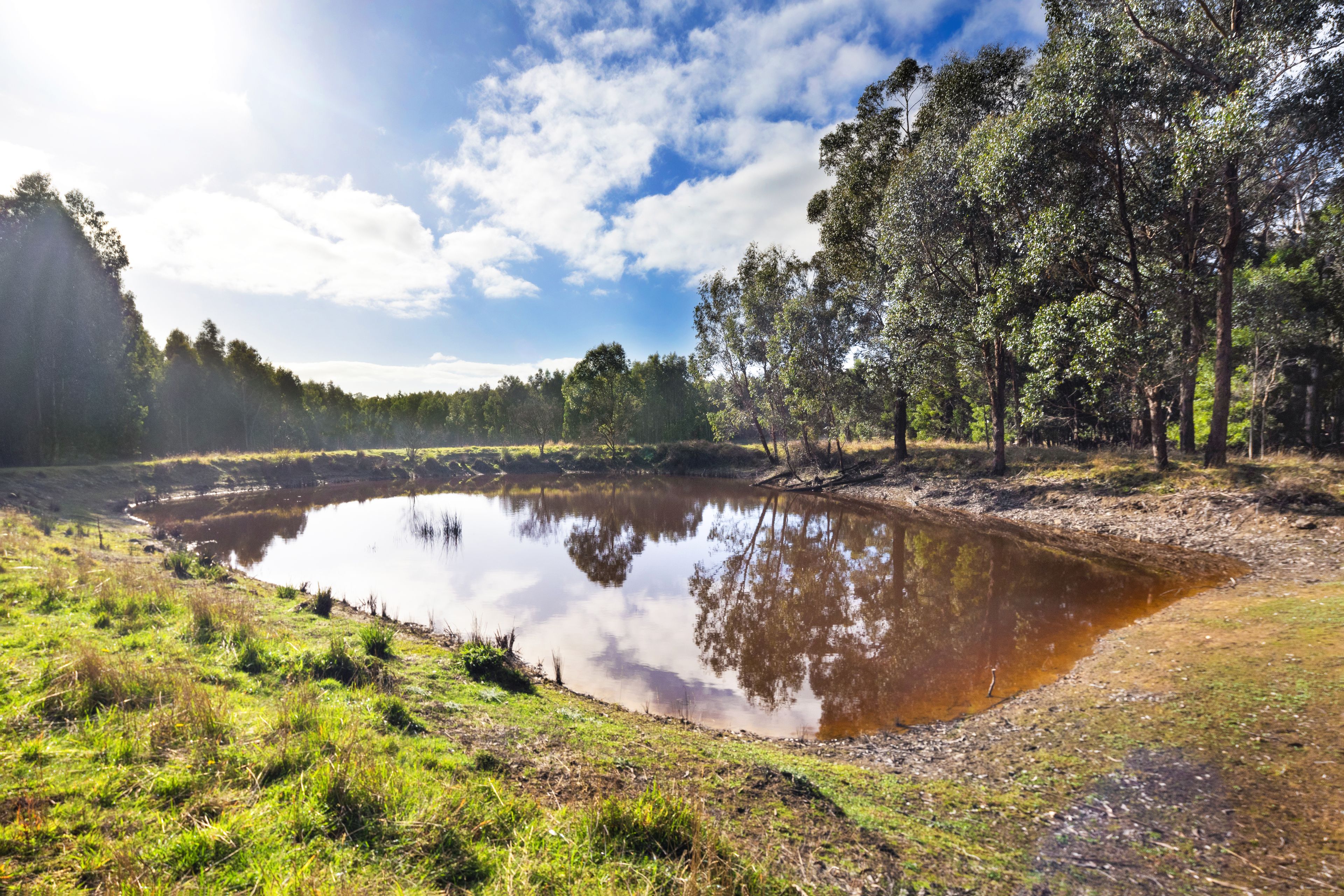 275 DEAN-BARKSTEAD RD, ROCKLYN VIC 3364, 0房, 0浴, Lifestyle Property