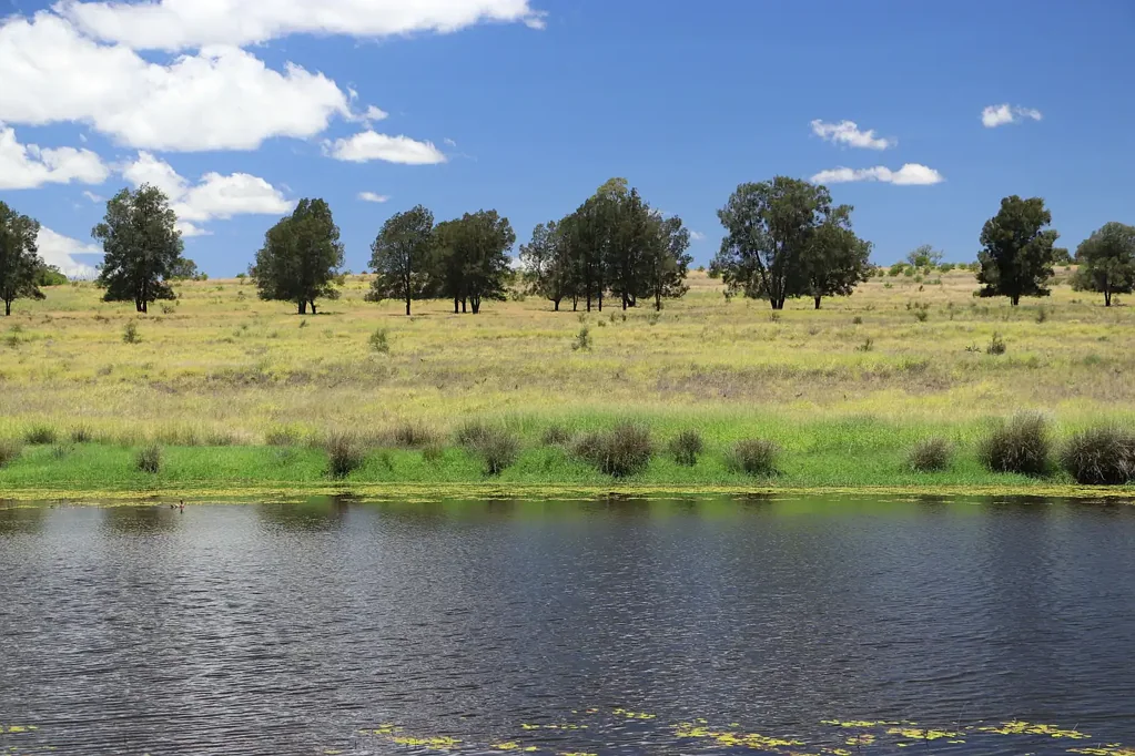 2053 Wallumbilla North Road, Wallumbilla, QLD 4428