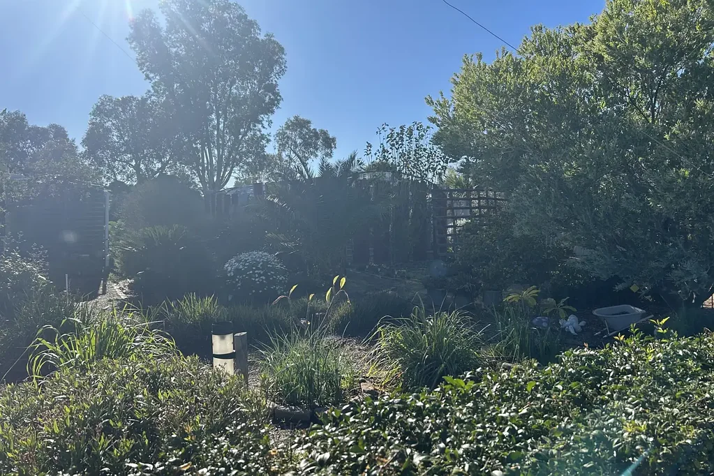 Wyalkatchem 3房  A Gardener's Paradise with Modern Upgrades and Country Charm