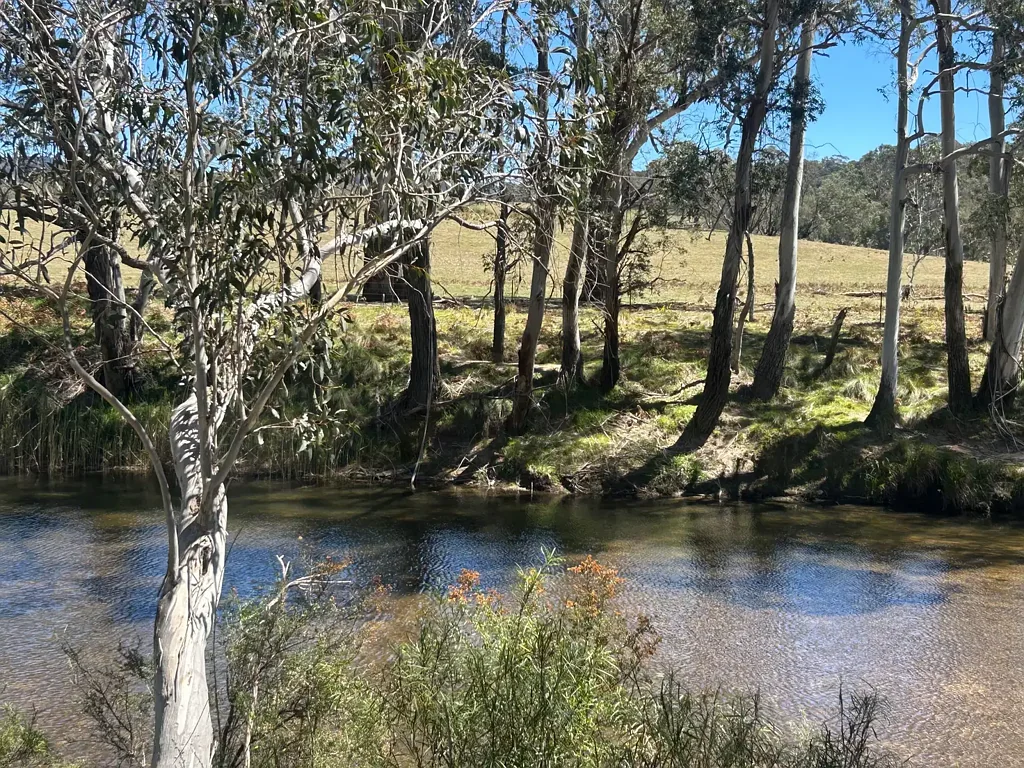 228 Wallaby Hill Road, Braidwood, NSW 2622