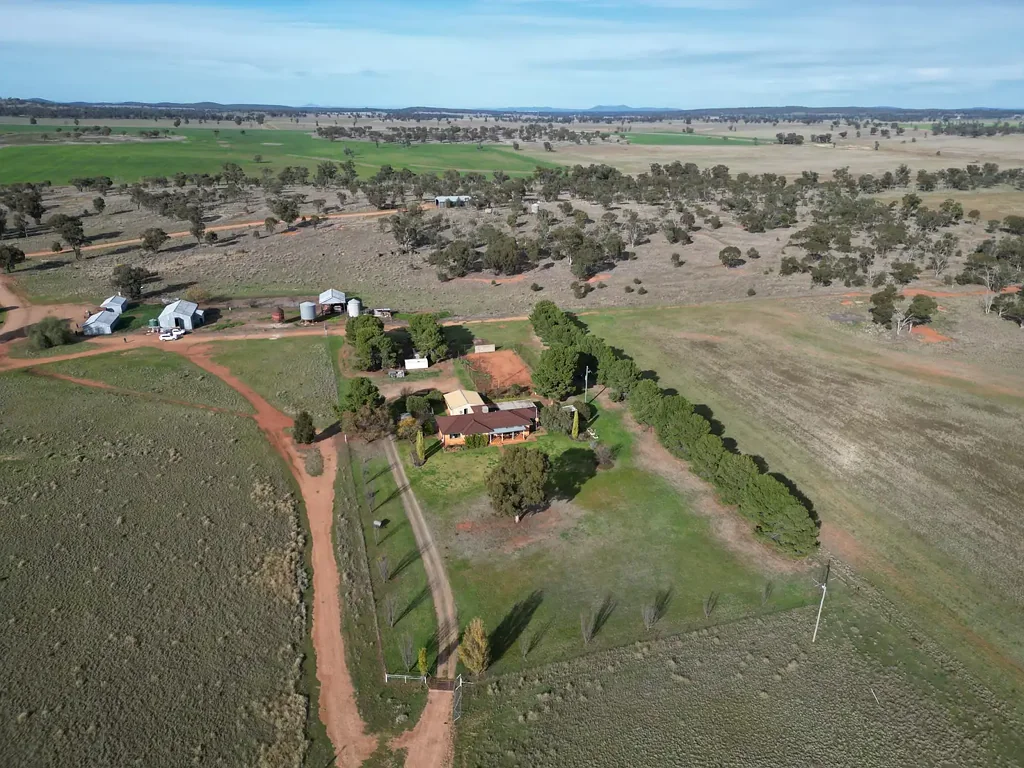 North Yalgogrin  Prime Cropping & Grazing
'Nyrang'
2126.36 Ha 5254.35 Ac